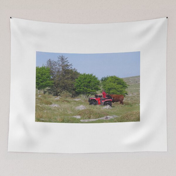 Aperçu de l'œuvre Agriculture Dartmoor créée et vendue par lezvee.