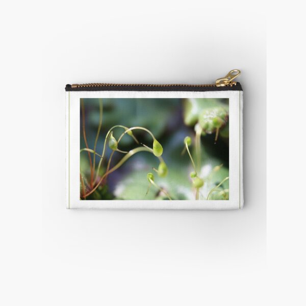 Item preview, Moss sporangia designed and sold by naturek.