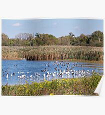 The Goose Migration Poster