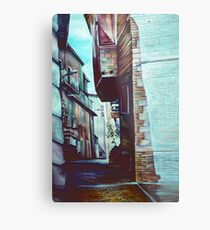 Anna's Street Metal Print