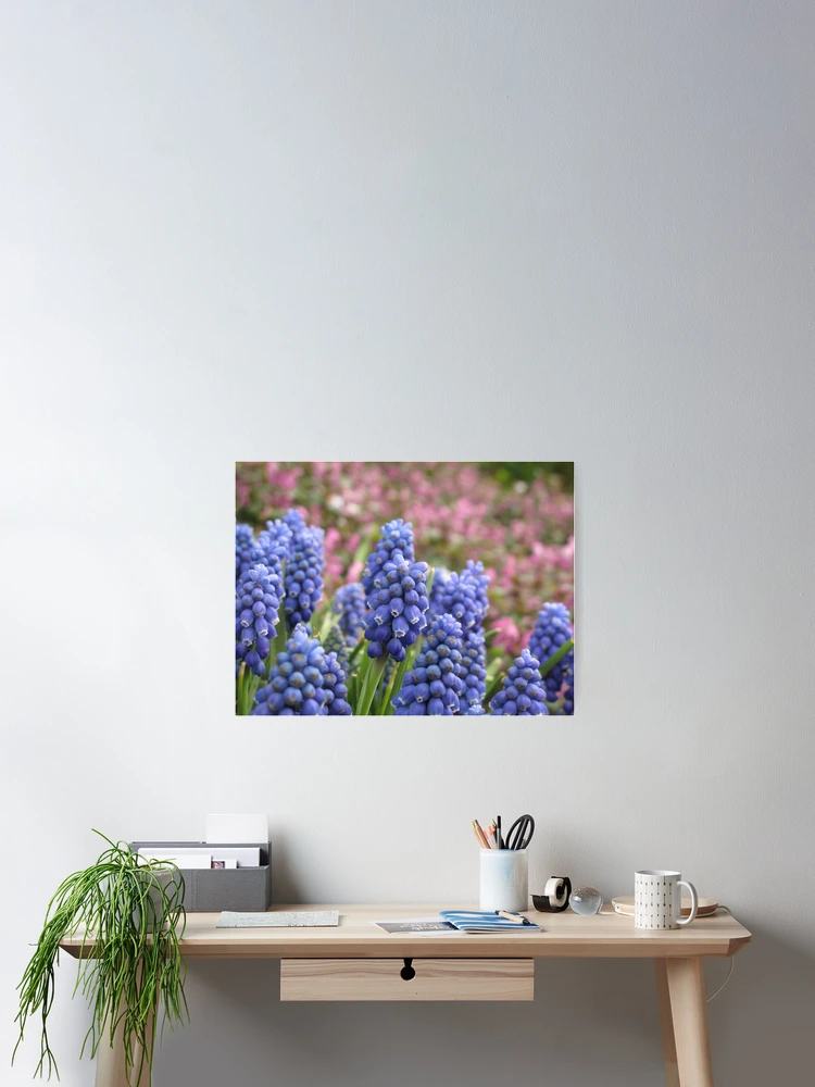 Thumbnail 2 of 3, Poster, Spring Flowers designed and sold by Patsy Smiles.