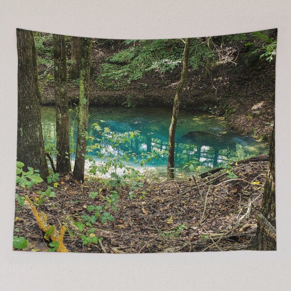Item preview, Red Clay State Park - Blue Hole Spring (1) designed and sold by Sirieht.