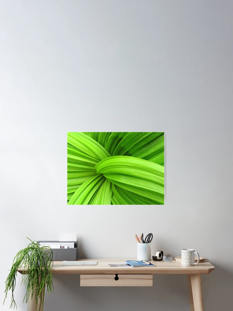 Thumbnail 2 of 3, Poster, Abstract Nature designed and sold by Patsy Smiles.