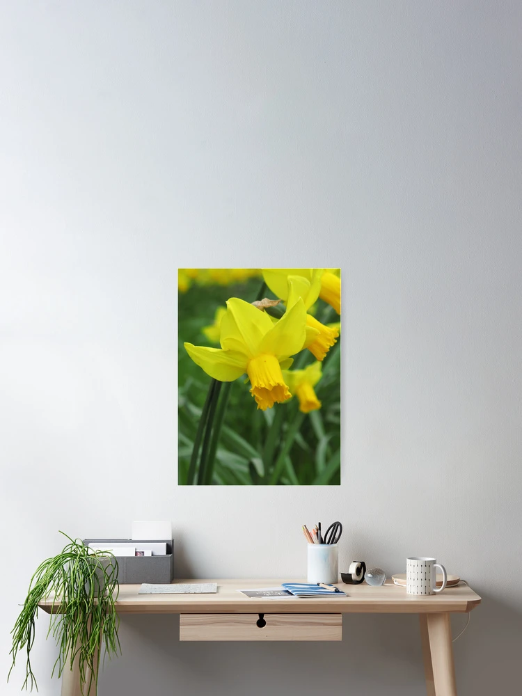 Thumbnail 2 of 3, Poster, Heralding Spring! designed and sold by Patsy Smiles.