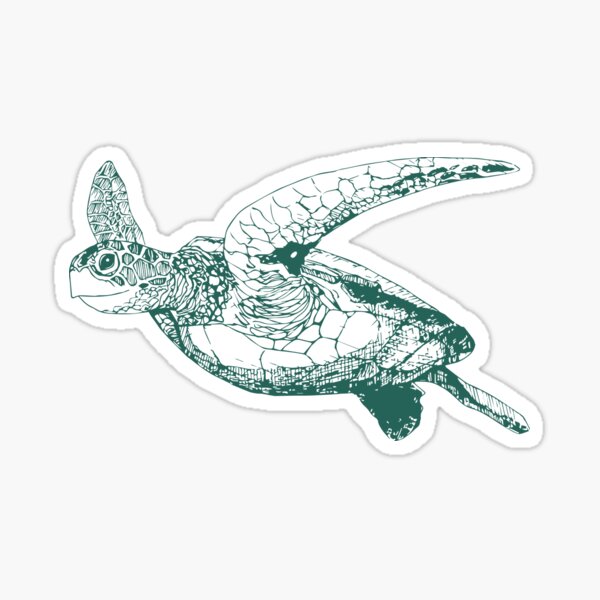 Kemp's Ridley Sea Turtle Sticker