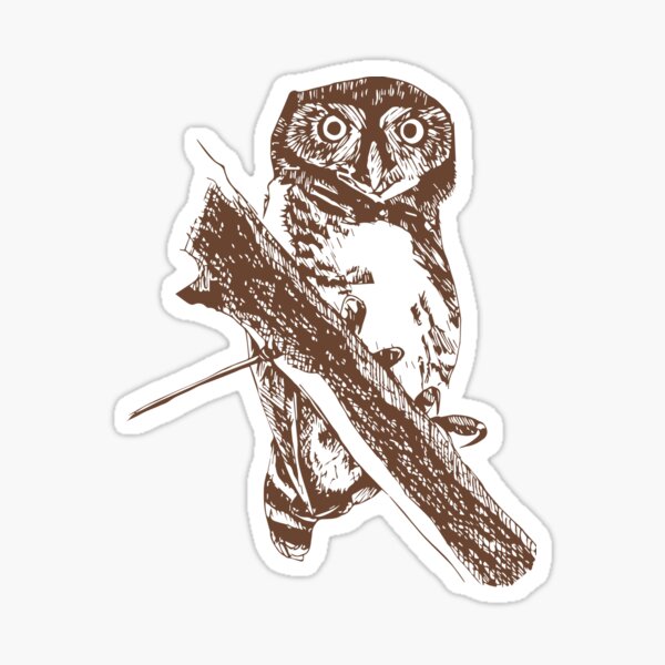 Forest Owlet Sticker