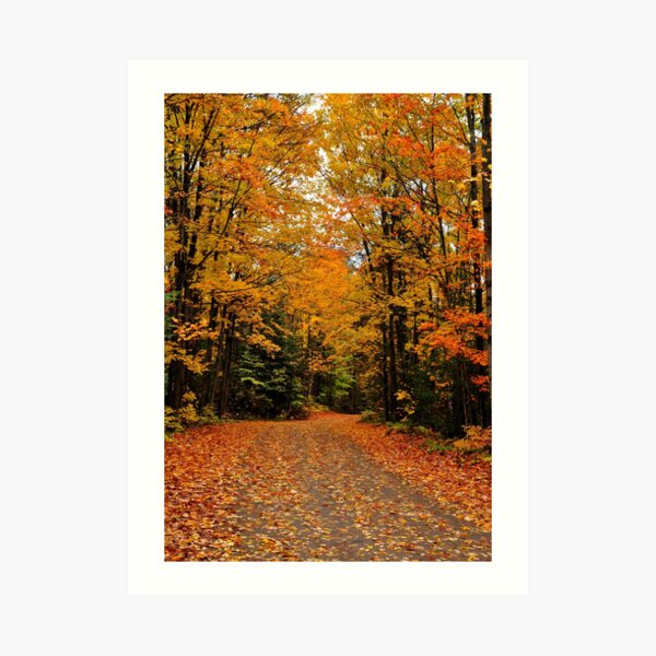Oxtongue River Road Art Print