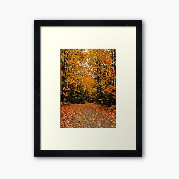 Oxtongue River Road Framed Art Print