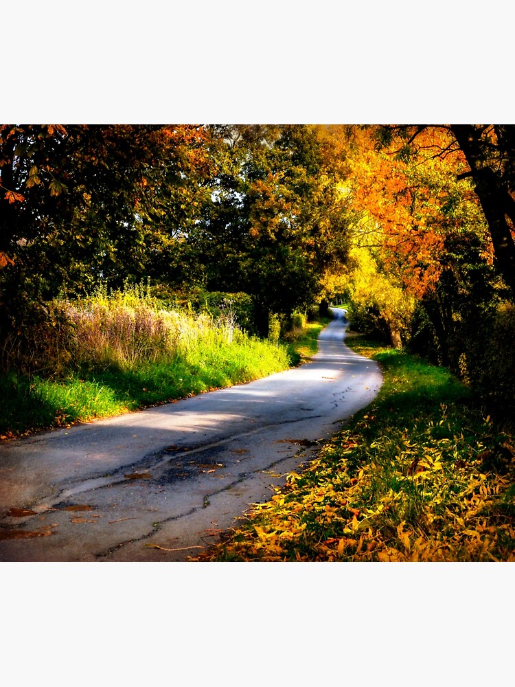 Autumn Dreams. by ScenicViewPics