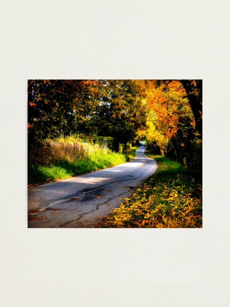 Alternate view of Autumn Dreams. Photographic Print