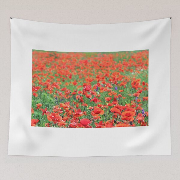 Aperçu de l'œuvre coquelicots fleur champ nature fond créée et vendue par goceris.