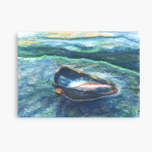 Sea shell Canvas Print
