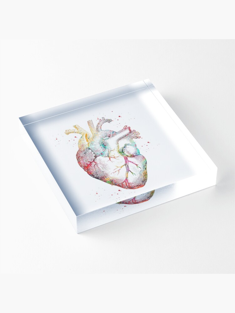 Alternate view of Human Heart Acrylic Block