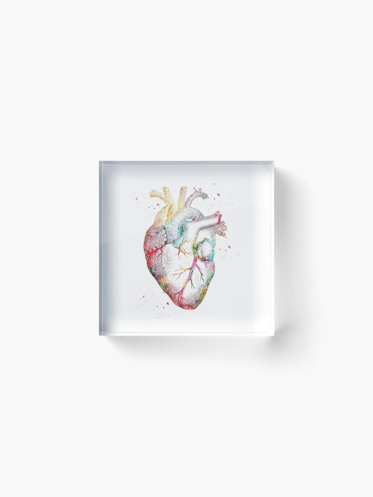 Alternate view of Human Heart Acrylic Block