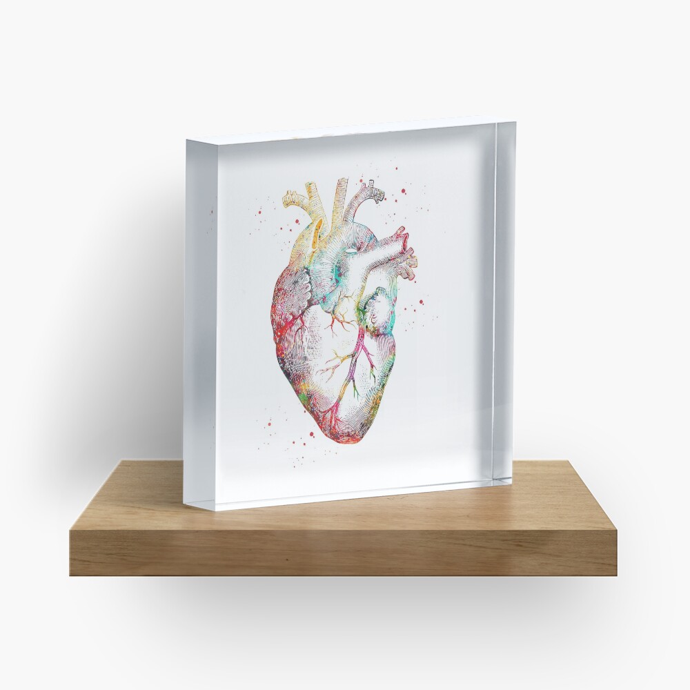 Human Heart Acrylic Block