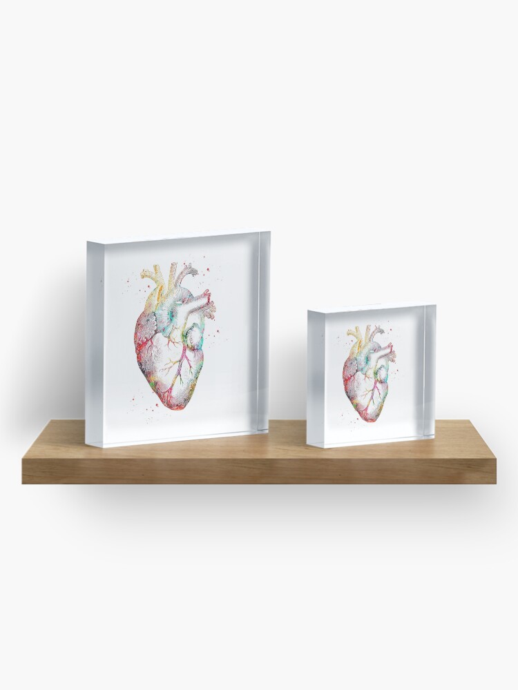 Alternate view of Human Heart Acrylic Block