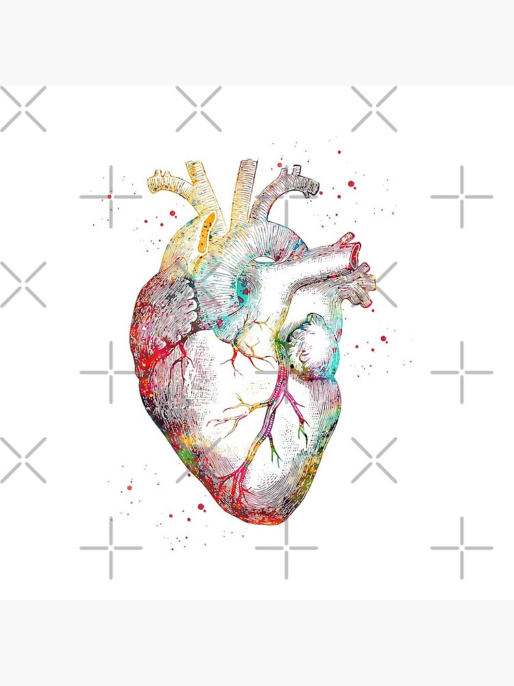 Human Heart by erzebetth