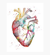 Human Heart Photographic Print