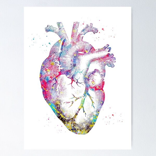 Item preview, Human Heart designed and sold by Liededrom..