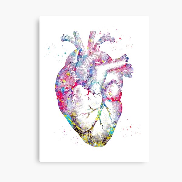 Anatomical Heart Wooden Painting Canvas