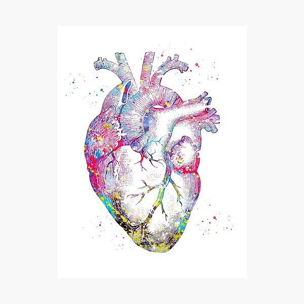 Item preview, Human Heart designed and sold by Liededrom..