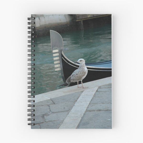 Item preview, The Seagull and the Gondola designed and sold by Nerone.