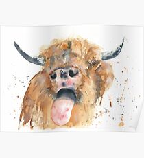 Highland Cow Poster
