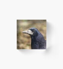 Rook Acrylic Block