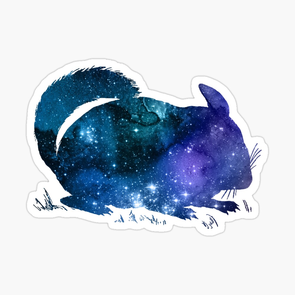 Chinchilla Silhouette Poster For Sale By Gwendolynfrost Redbubble