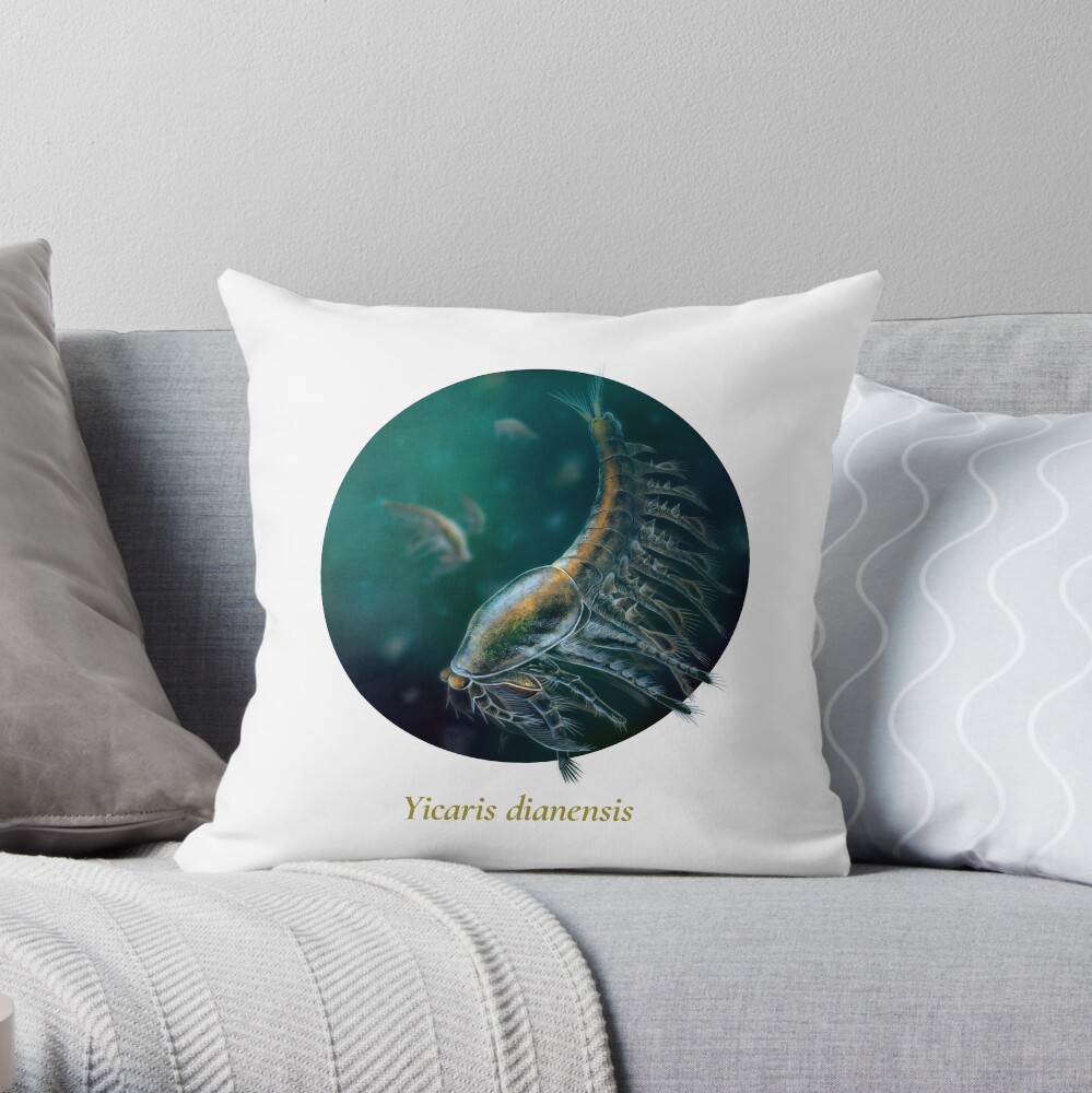 The Circles of Life: Yicaris dianensis Throw Pillow