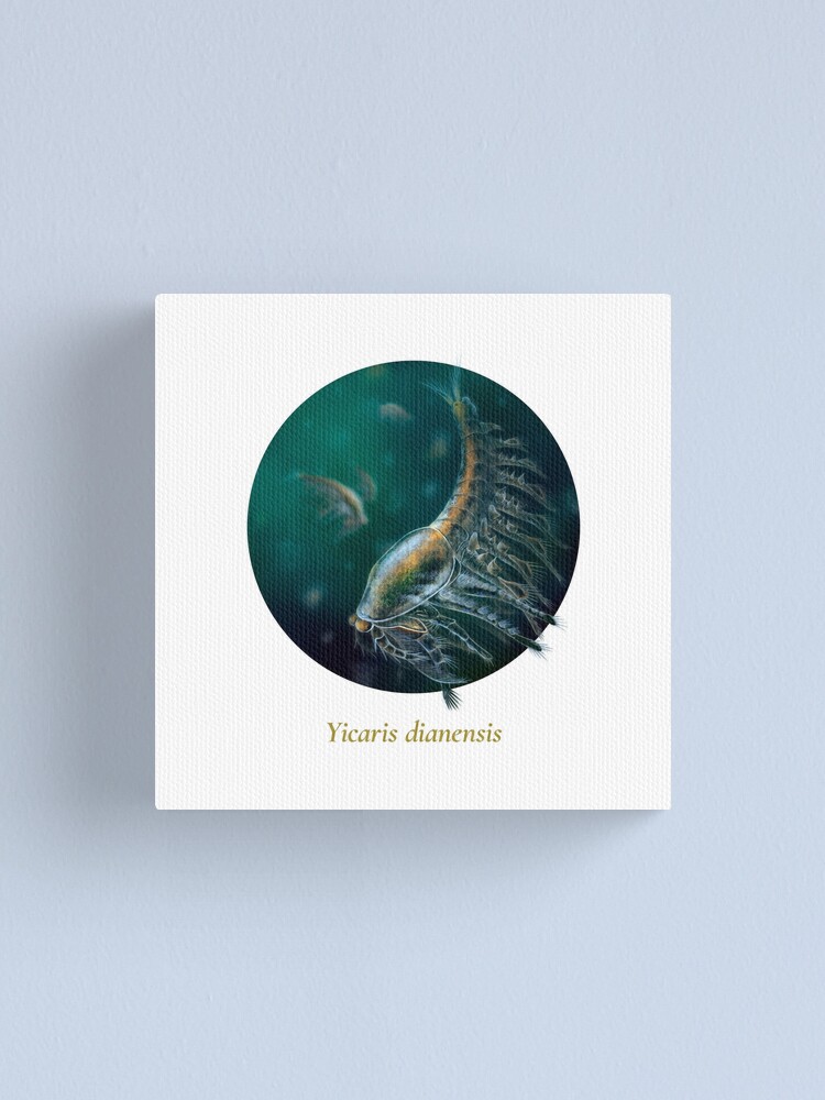 Alternate view of The Circles of Life: Yicaris dianensis Canvas Print