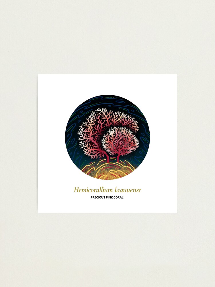 Alternate view of The Circles of Life: Precious Pink Coral Photographic Print