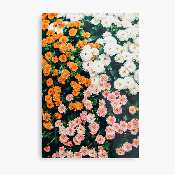 In My Garden Metal Print