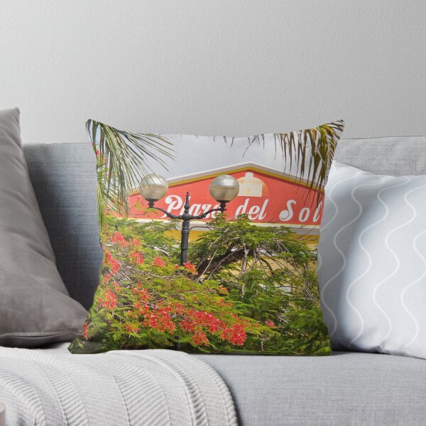 Item preview, Isla Cozumel. San Miguel. Plaza del Sol. designed and sold by vadim19.