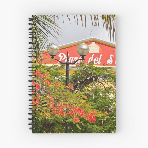 Item preview, Isla Cozumel. San Miguel. Plaza del Sol. designed and sold by vadim19.