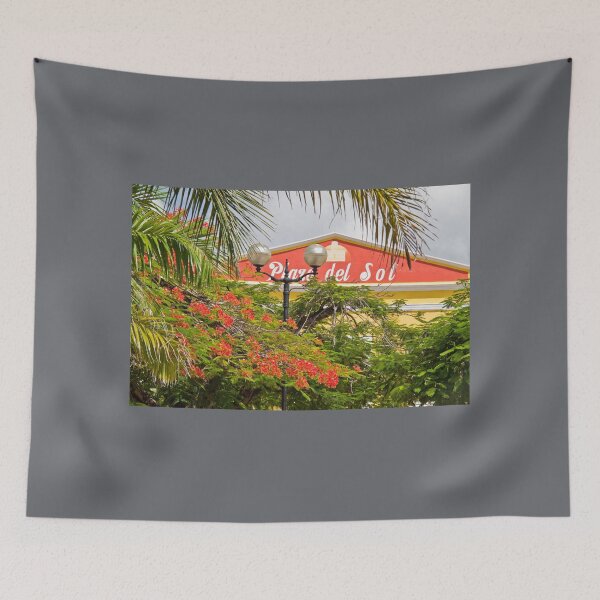 Item preview, Isla Cozumel. San Miguel. Plaza del Sol. designed and sold by vadim19.