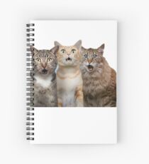 Cuaderno de espiral camiseta del gato - camiseta de los gatos del potter, Harry Cute - Regalos para el gato