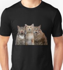 Camiseta unisex camiseta del gato - camiseta de los gatos del potter, Harry Cute - Regalos para el gato