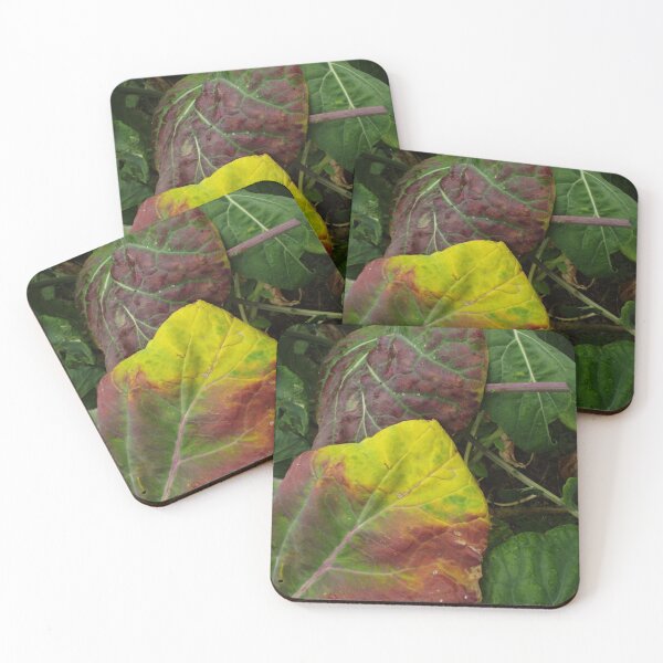 Item preview, Brassica Fairy Garden designed and sold by MeyrellesMartin.