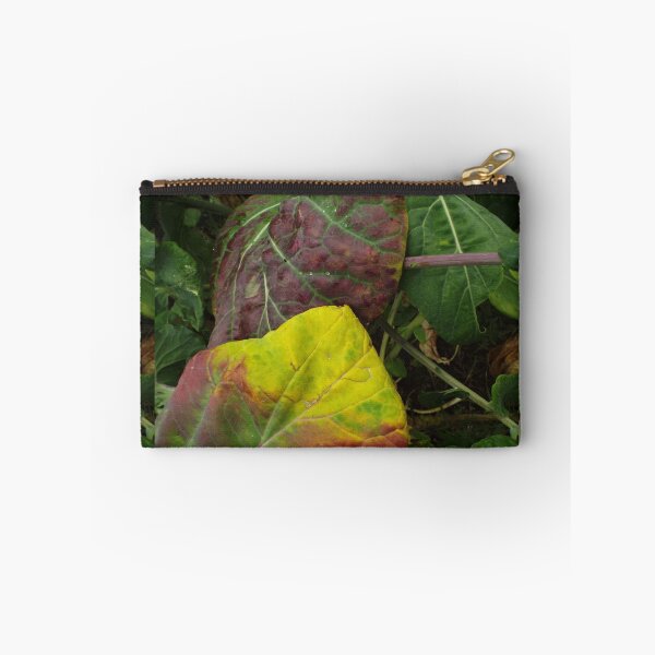 Item preview, Brassica Fairy Garden designed and sold by MeyrellesMartin.