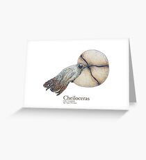Cheiloceras Plate Greeting Card