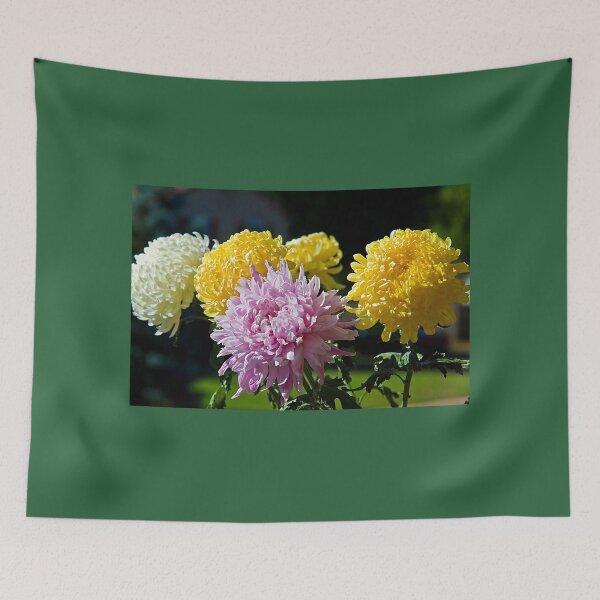 Item preview, Chrysanthemums designed and sold by vadim19.