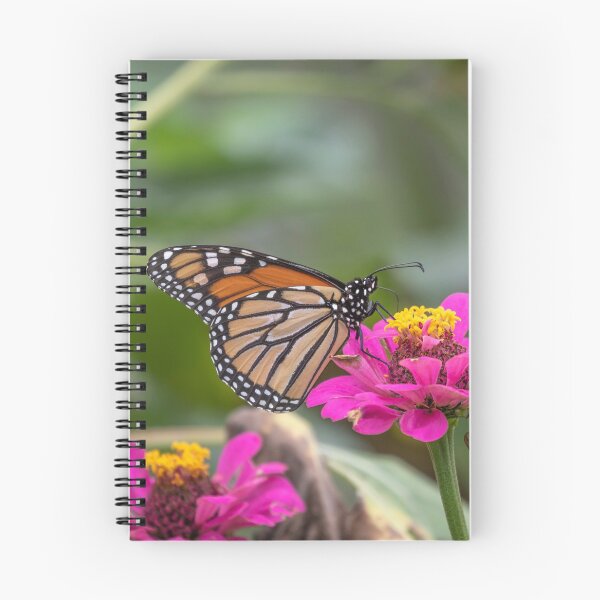 Item preview, Monarch 2018-23 designed and sold by Thomasyoung.
