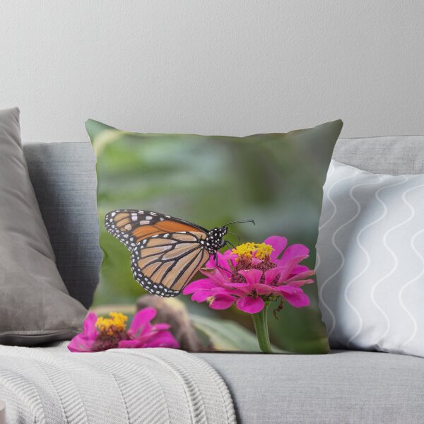 Item preview, Monarch 2018-23 designed and sold by Thomasyoung.