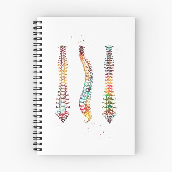 Item preview, Human Spine designed and sold by Liededrom..