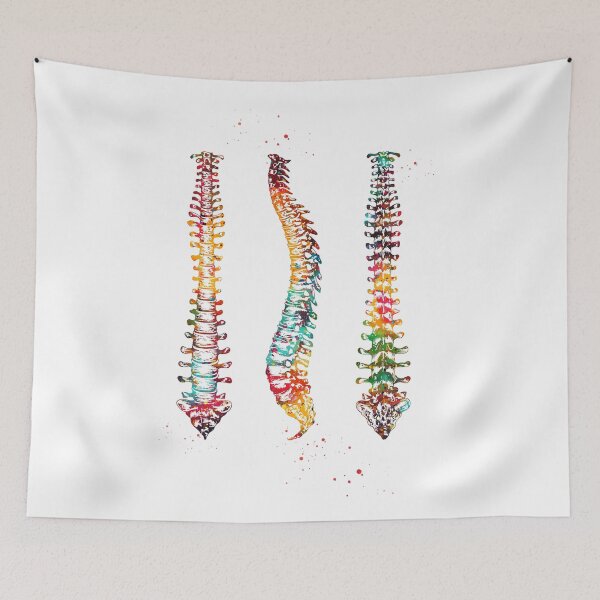 Item preview, Human Spine designed and sold by Liededrom..