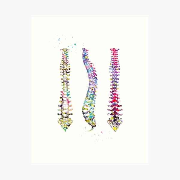 Item preview, Human Spine designed and sold by Liededrom..