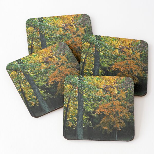 Item preview, Murphysboro Lake (9) designed and sold by michaelasamples.