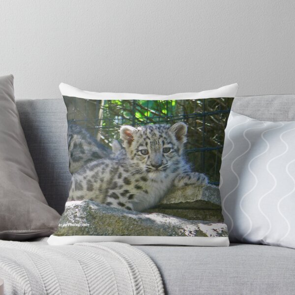 Item preview, Photogenic Snow Leopard Cub designed and sold by jezebel521.