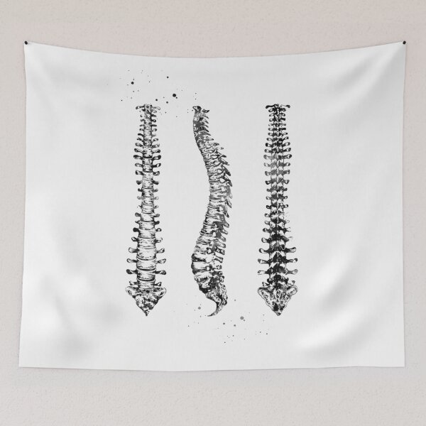 Item preview, Human Spine designed and sold by Liededrom..